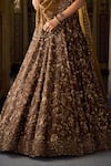 Shop_Seema Gujral_Gold Tissue, Silk, Organza Sequins, Beads Floral Jaal Pattern Lehenga Set _Online_at_Aza_Fashions