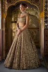Seema Gujral_Gold Organza, Tissue, Silk Sequins Round Neck Tonal Embroidered Lehenga Set _Online_at_Aza_Fashions
