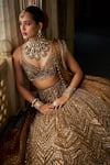 Shop_Seema Gujral_Gold Tissue, Silk, Organza Crystals, Beads V-neck Embroidered Lehenga Set _at_Aza_Fashions