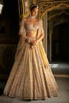 Buy_Seema Gujral_Gold Tissue, Silk, Organza Crystals, Beads, Embroidery V-neck Lehenga Set _at_Aza_Fashions
