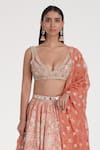 Abhinav Mishra_Orange Chanderi, Organza Mirrors, Zari, Embroidery Saffron Pale Lehenga Set _Online_at_Aza_Fashions