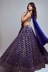Vvani By Vani Vats_Blue Georgette, Organza Beads, Mirrors, Embroidery Floret Bridal Lehenga Set _Online
