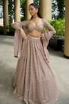 Shop_Vvani By Vani Vats_Pink Georgette, Organza Sequins, Mirrors, Embroidery Floral Jaal Lehenga Set _at_Aza_Fashions
