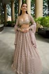 Vvani By Vani Vats_Pink Georgette, Organza Sequins, Mirrors, Embroidery Floral Jaal Lehenga Set 