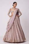 Vvani By Vani Vats_Pink Georgette, Organza Sequins, Mirrors, Embroidery Floral Jaal Lehenga Set 