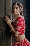 Buy_Amaltas Couture_Pink Silk, Organza Sequins, Beads V-neck Raw Embroidered Lehenga Set 