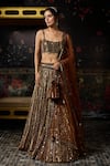 Buy_Diyarajvvir_Gold Tulle Mirrors, Sequins Round Neck Embellished Lehenga Set _at_Aza_Fashions