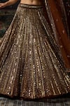 Diyarajvvir_Gold Tulle Mirrors, Sequins Round Neck Embellished Lehenga Set _at_Aza_Fashions