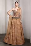 Buy_Rocky Star_Brown Net, Silk Sequins, Beads, Embroidery Sweetheart Embellished Lehenga Set _at_Aza_Fashions