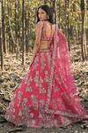 Shop_Panihari_Red Silk, Net Cut Work, Sequins V-neck Raw Embroidered Lehenga Set _at_Aza_Fashions