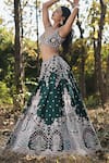 Shop_Panihari_Emerald Green Silk, Net Embroidery, Sequins, Cut Work Raw Lehenga Set _Online_at_Aza_Fashions