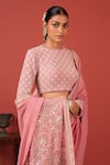 Buy_Suruchi Parakh_Pink Georgette, Crepe Embroidery Round Neck Saree With Statement Blouse 