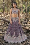 Panihari_Purple Silk, Net Sequins, Cut Work Leaf Neck Embroidered Lehenga Set _Online_at_Aza_Fashions