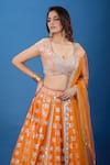Buy_Samyukta Singhania_Rust Silk, Net Mirrors, Embroidery V-neck Lehenga Set _Online_at_Aza_Fashions