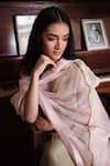Shop_Shorshe Clothing_Pink Organza Gota Patti, Embroidery Nur Jahan Dupatta _at_Aza_Fashions