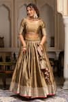 Buy_Pomcha Jaipur_Gold Taffeta, Silk, Net Gota Patti Round Neck Lehenga Set _at_Aza_Fashions