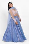 Buy_Ellemora Fashions_Glacial Glamour Stripe Pattern Lehenga Set 