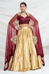 Ellemora Fashions_Royale Embroidered Blouse Lehenga Set _at_Aza_Fashions