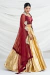 Ellemora Fashions_Royale Embroidered Blouse Lehenga Set _Online