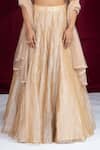Buy_Ellemora Fashions_Tissue Silk Embroidered Lehenga set _Online_at_Aza_Fashions