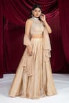 Ellemora Fashions_Tissue Silk Embroidered Lehenga set _Online_at_Aza_Fashions