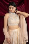 Ellemora Fashions_Tissue Silk Embroidered Lehenga set _at_Aza_Fashions