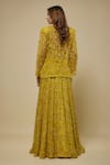 Shop_Asaga_Yellow Tulle, Satin, Organza Embroidery, Sequins, Citrine Jacket And Skirt Set _at_Aza_Fashions