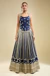 Samyukta Singhania_Embroidered Lehenga Set _at_Aza_Fashions