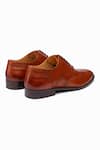 Buy_3dm Lifestyle_Brown Cut Work Full Brogue Wingtip Oxford - Tan _Online_at_Aza_Fashions