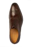 Shop_3dm Lifestyle_Brown Cut Work Dark Brogue Wingtip Oxford Shoes _Online_at_Aza_Fashions