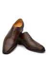 Shop_3dm Lifestyle_Brown Cut Work Dark Brogue Wingtip Oxford Shoes _at_Aza_Fashions