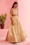 Buy_Chamee And Palak_Beige Organza, Silk Embroidery Sweetheart Neck Adah Rose Embellished Lehenga Set _Online_at_Aza_Fashions