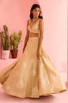 Shop_Chamee And Palak_Beige Organza, Silk Embroidery Sweetheart Neck Adah Rose Embellished Lehenga Set _Online_at_Aza_Fashions