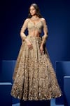Shop_Opus Atelier_Gold Net, Tulle Sequins, Beads, Embroidery, Metallic Thread Cielo Lehenga Set _at_Aza_Fashions