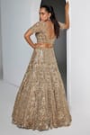 Shop_Opus Atelier_Gold Net, Satin, Tulle Embroidery, Sequins, Beads V-neck Ciara Lehenga Set _at_Aza_Fashions