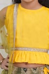 Shop_Little Bansi_Yellow Chanderi Silk Zari, Gota Patti, Tassels Peacock Pattern Lehenga Set 