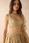 Shyam Narayan Prasad_Gold Organza, Brocade, Tissue Embroidery, Zari, Beads, Zig Zag Woven Lehenga Set _Online_at_Aza_Fashions