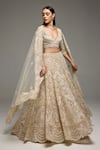 Shop_Opus Atelier_Beige Net, Tulle Embroidery, Sequins V-neck Marisol Lehenga Set _Online_at_Aza_Fashions