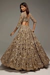 Shop_Opus Atelier_Gold Tulle, Net Embroidery, Sequins, Zari, Stones V-neck Brown Ruth Lehenga Set _at_Aza_Fashions