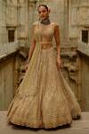 Shop_Nitika Gujral_Gold Net Crystals, Beads, Sequins, Embroidery Sweetheart Neck Bridal Lehenga Set _at_Aza_Fashions