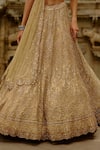 Shop_Nitika Gujral_Gold Net Crystals, Beads, Sequins, Embroidery Sweetheart Neck Bridal Lehenga Set _Online_at_Aza_Fashions