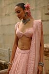 Buy_Nitika Gujral_Pink Net Embroidery, Sequins Sweetheart Neck Bridal Lehenga Set _Online_at_Aza_Fashions