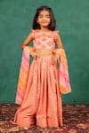 Shop_JILMIL DREAMWEAR_Orange Silk Mirrors, Embroidery, Gota Patti Work Lehenga Set _Online_at_Aza_Fashions
