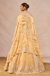 Buy_Masaba_Gold Tissue Embroidery, Sequins, Stones, Beads, Chandni 12 Kalis Lehenga Set _Online_at_Aza_Fashions