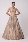 Buy_Vvani By Vani Vats_Beige Georgette, Net, Organza Beads, Embroidery, Mirrors Cluster Lehenga Set _at_Aza_Fashions