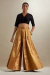 Vinusto_Black Chanderi, Silk, Organza Zari, Embroidery V-neck Blouse And Palazzo Set _Online_at_Aza_Fashions