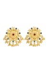 Zariin_Gold Plated Stones Floral Wonder Stud Earrings _Online_at_Aza_Fashions