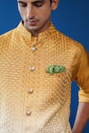 Shop_Philocaly_Mustard Silk Embroidery Basant Ombre Bundi _Online_at_Aza_Fashions