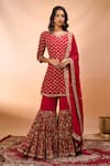 Alaya Advani Red Georgette Embroidery, Zari V-neck Floral Hand Kurta Sharara Set Alaya Advani_Red Georgette Embroidery, Zari V-neck Floral Hand Kurta Sharara Set