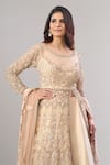 Shop_Alaya Advani_Beige Net, Silk Embroidery, Zari, Sequins Round Hand Slit Anarkali Lehenga Set 